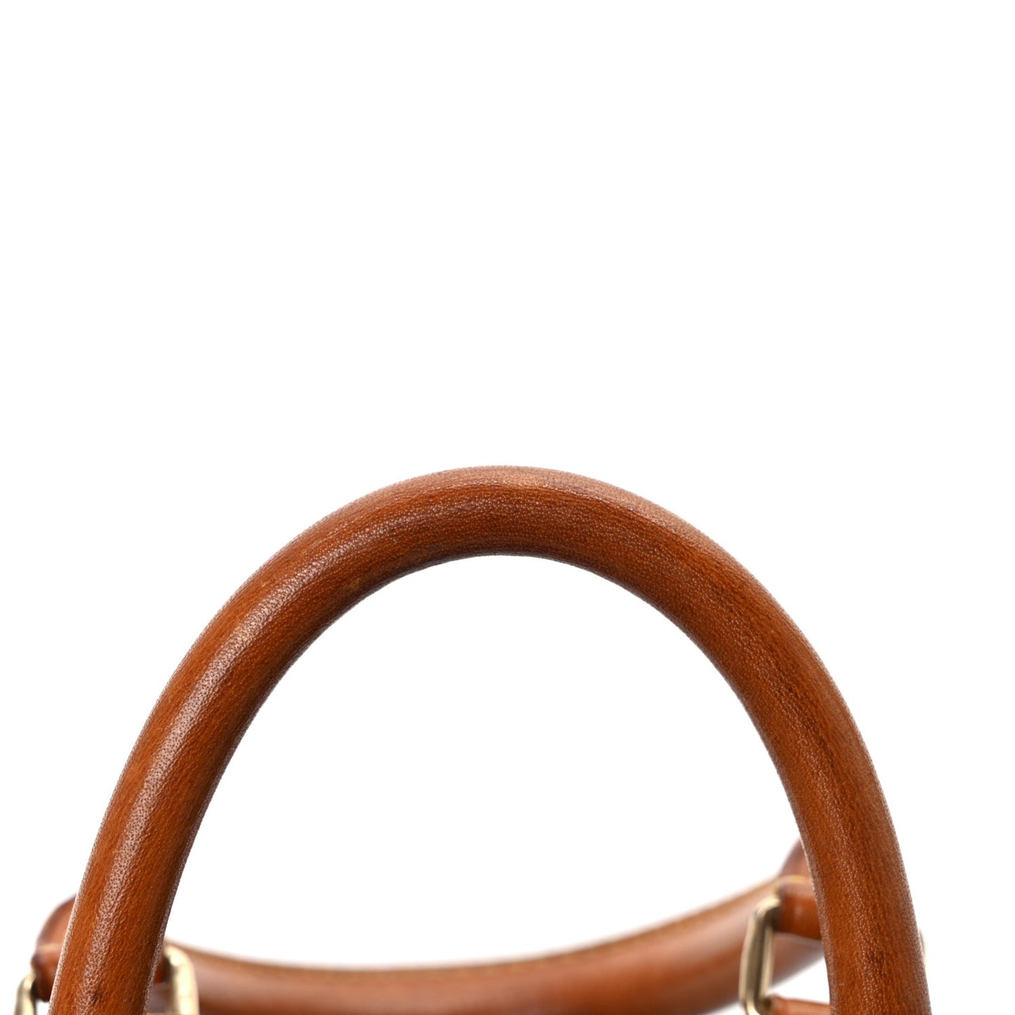 Monogram Mini Sac HL Speedy