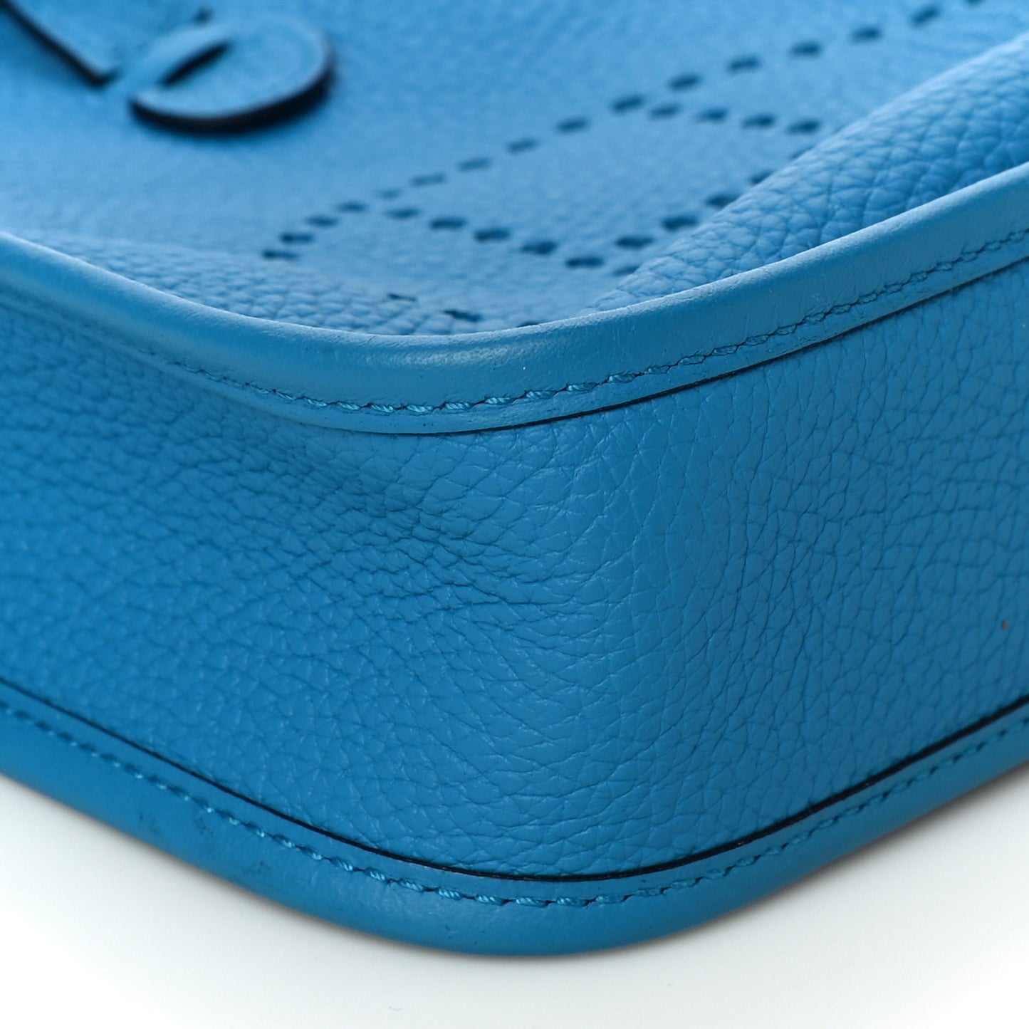 Taurillon Clemence Evelyne TPM Bleu Frida