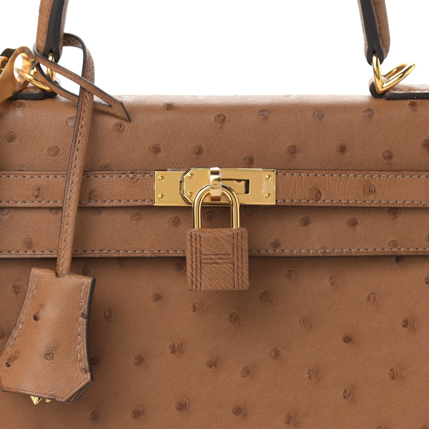 Ostrich Kelly Sellier 25 Alezan