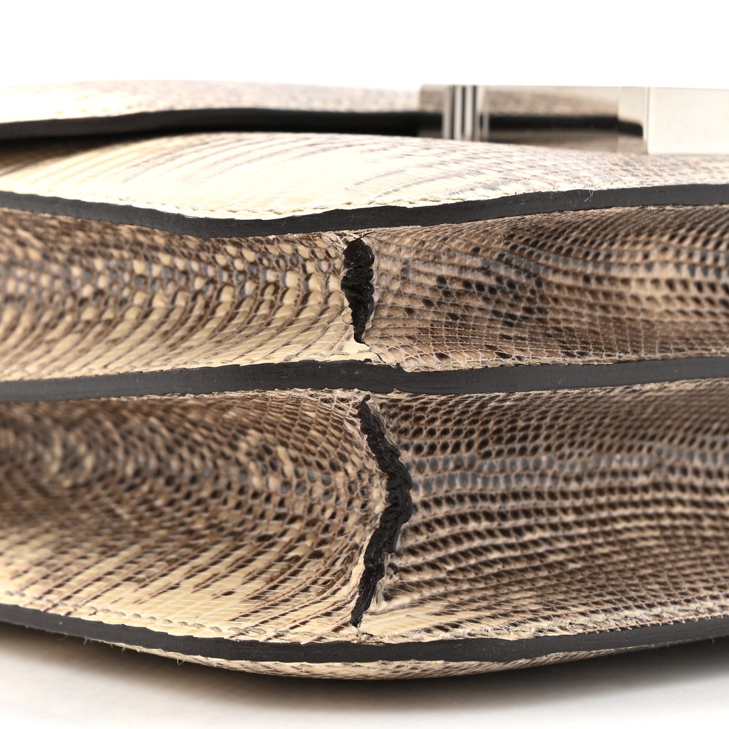 Lizard Constance 18 Ombre