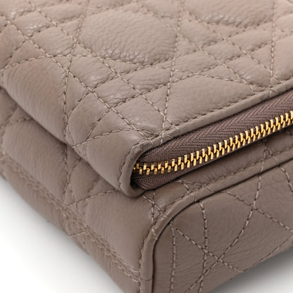 Christian Dior Supple Calfskin Caro Double Pouch Warm Taupe 16 of 16