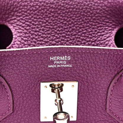 Hermes Togo BIRKIN 30 Anemone 6 of 10