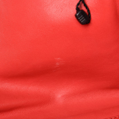 Loewe Goatskin Amazona Red 9 of 15