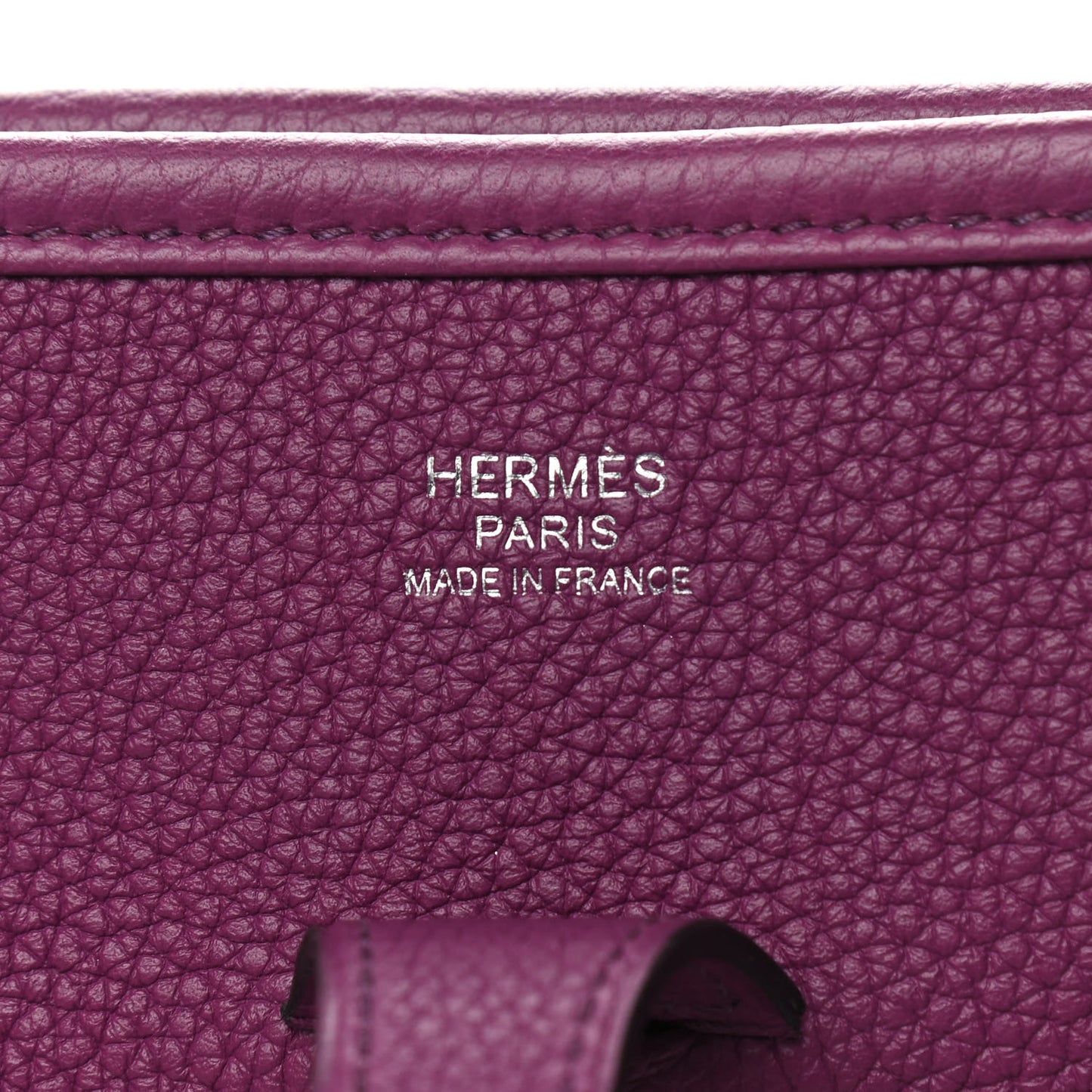 Taurillon Maurice Evelyne III PM Anemone