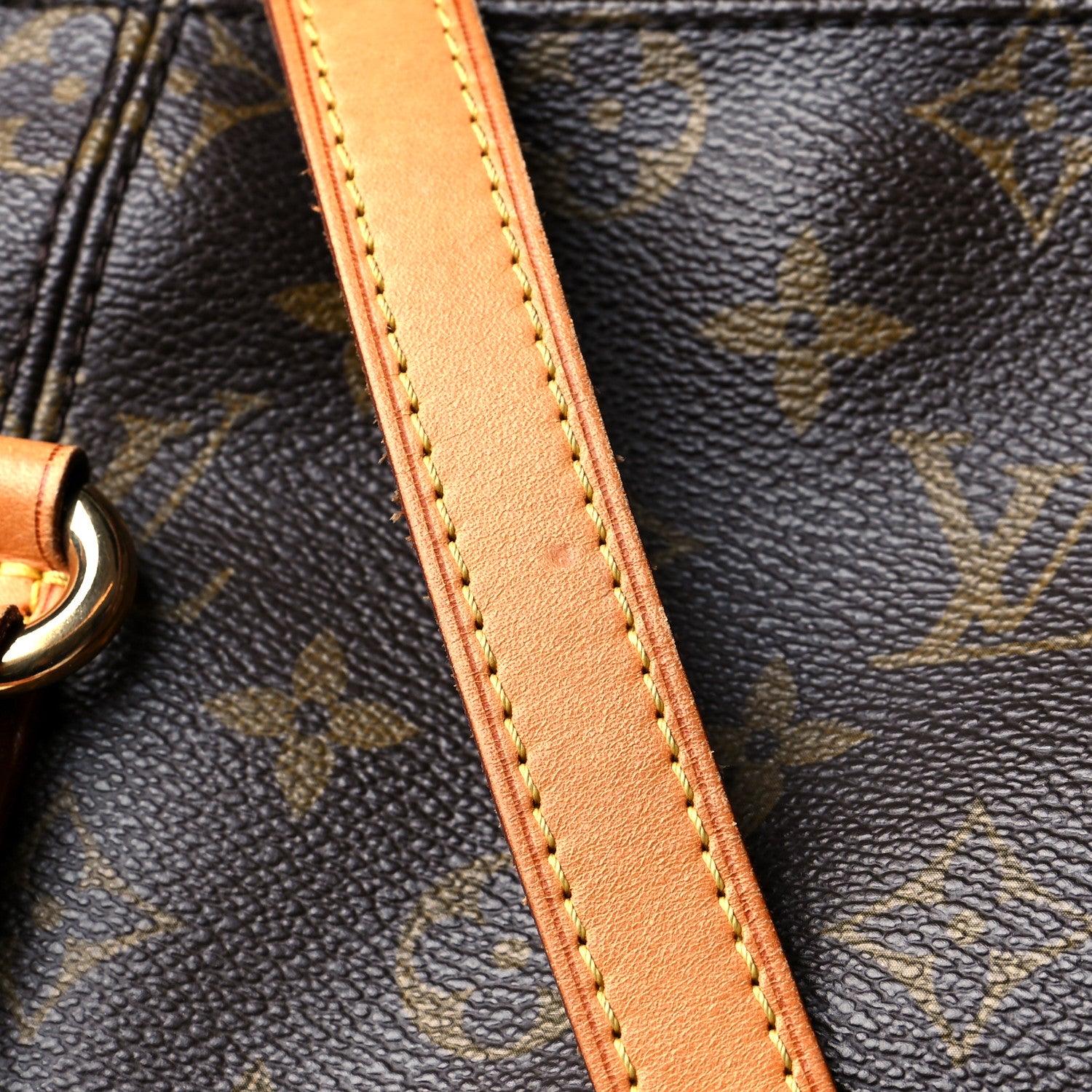 Louis Vuitton Monogram Totally MM 11 of 13