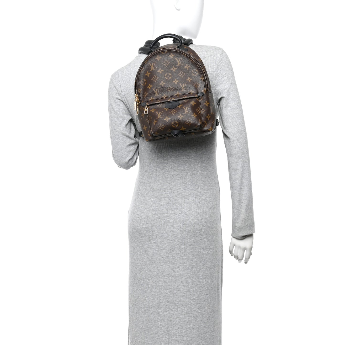Monogram Palm Springs Backpack PM