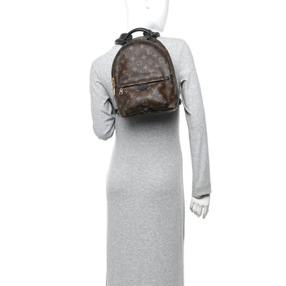 Louis Vuitton Monogram Palm Springs Backpack PM 2 of 12