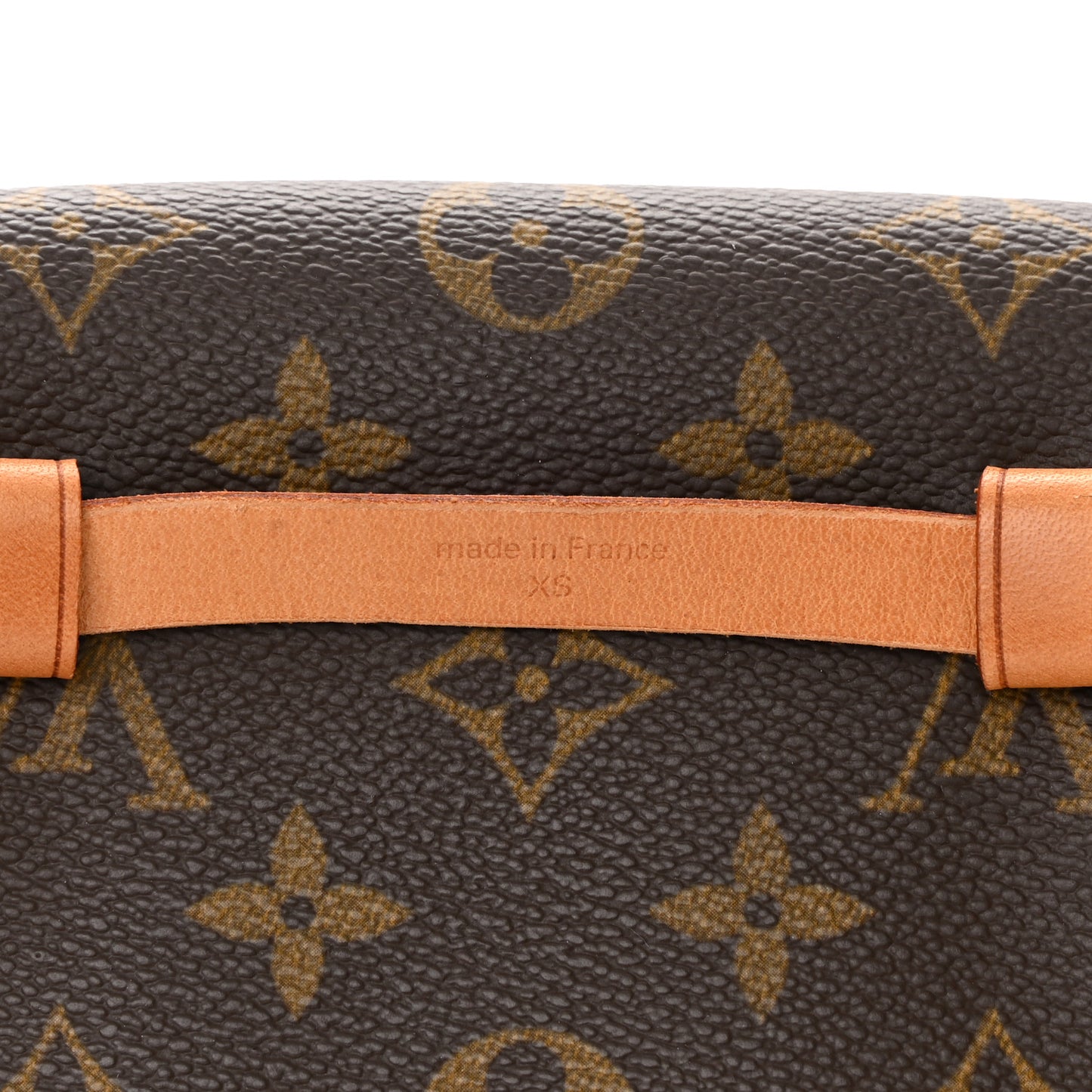 Monogram Pochette Florentine XS