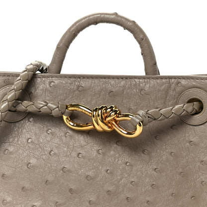 Bottega Veneta Ostrich Mini Andiamo Shoulder Bag Limestone 8 of 10