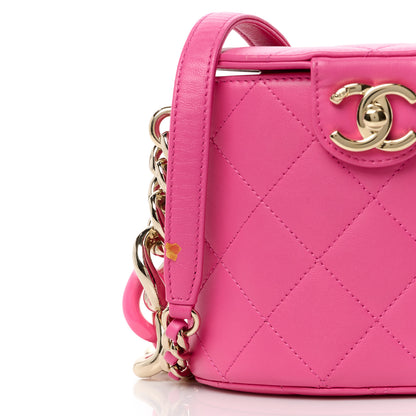 Chanel Lambskin Resin Elegant Chain Vanity Case Dark Pink 14 of 16