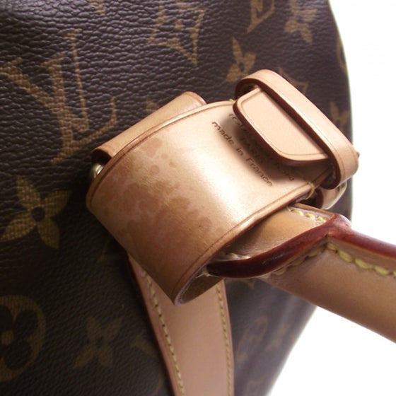 Monogram Carryall