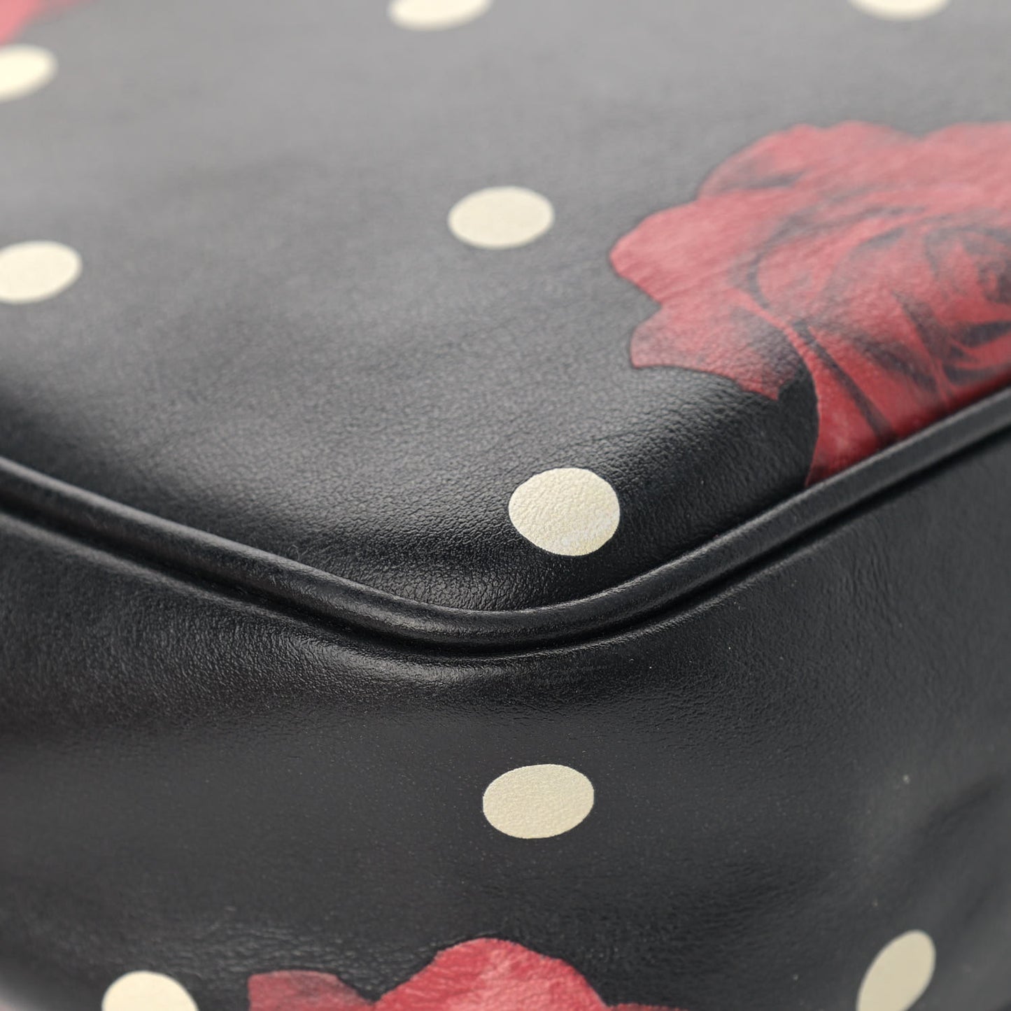 Calfskin Rose Print Monogram Lou Camera Bag Black