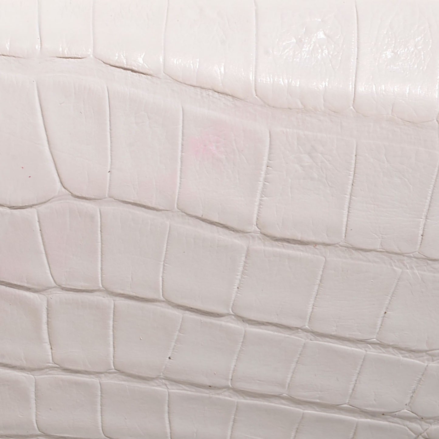 Glossy Crocodile Gotham Clutch White