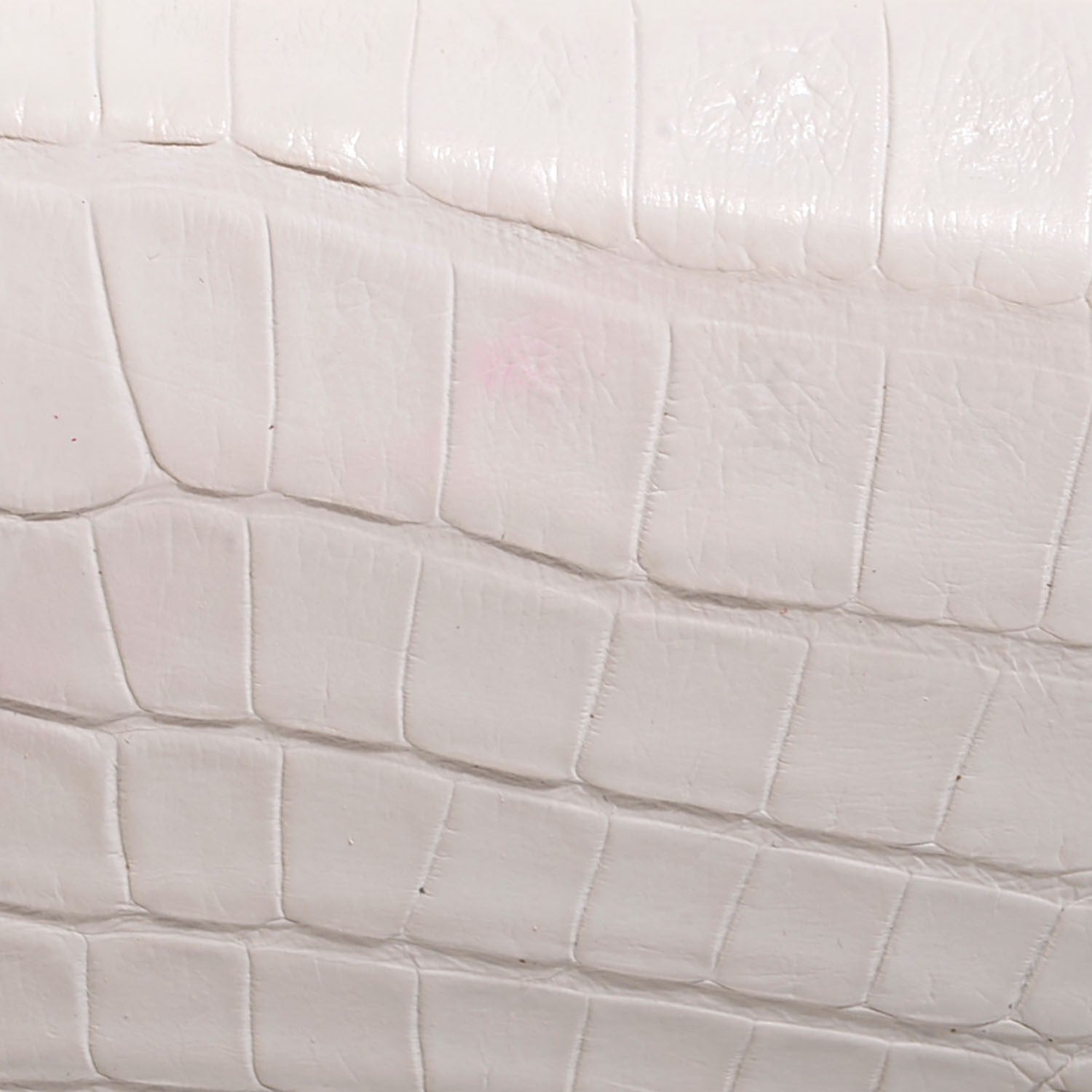 Nancy Gonzalez Glossy Crocodile Gotham Clutch White 9 of 9