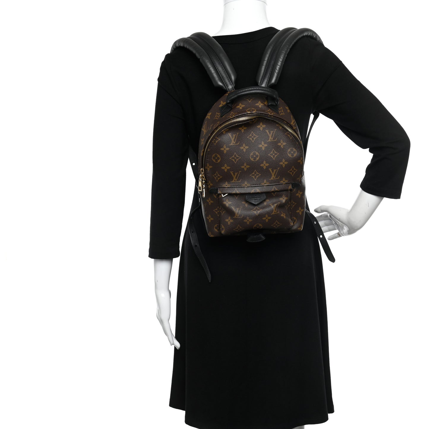 Monogram Palm Springs Backpack PM