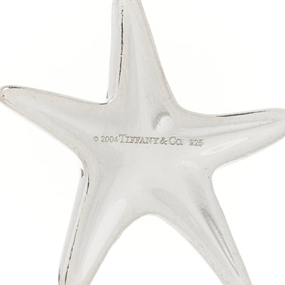 Tiffany Sterling Silver Turquoise Starfish Charm Bracelet 3 of 4