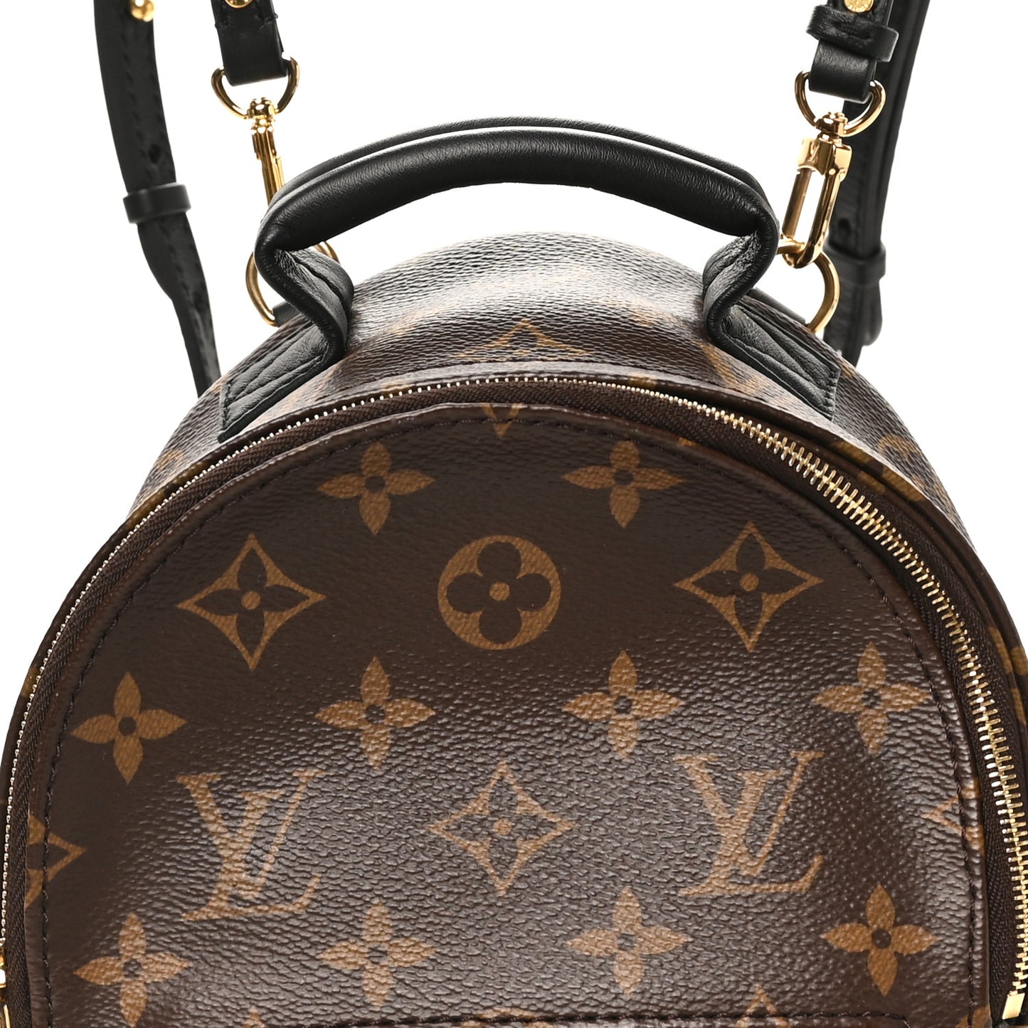 Monogram Palm Springs Backpack Mini