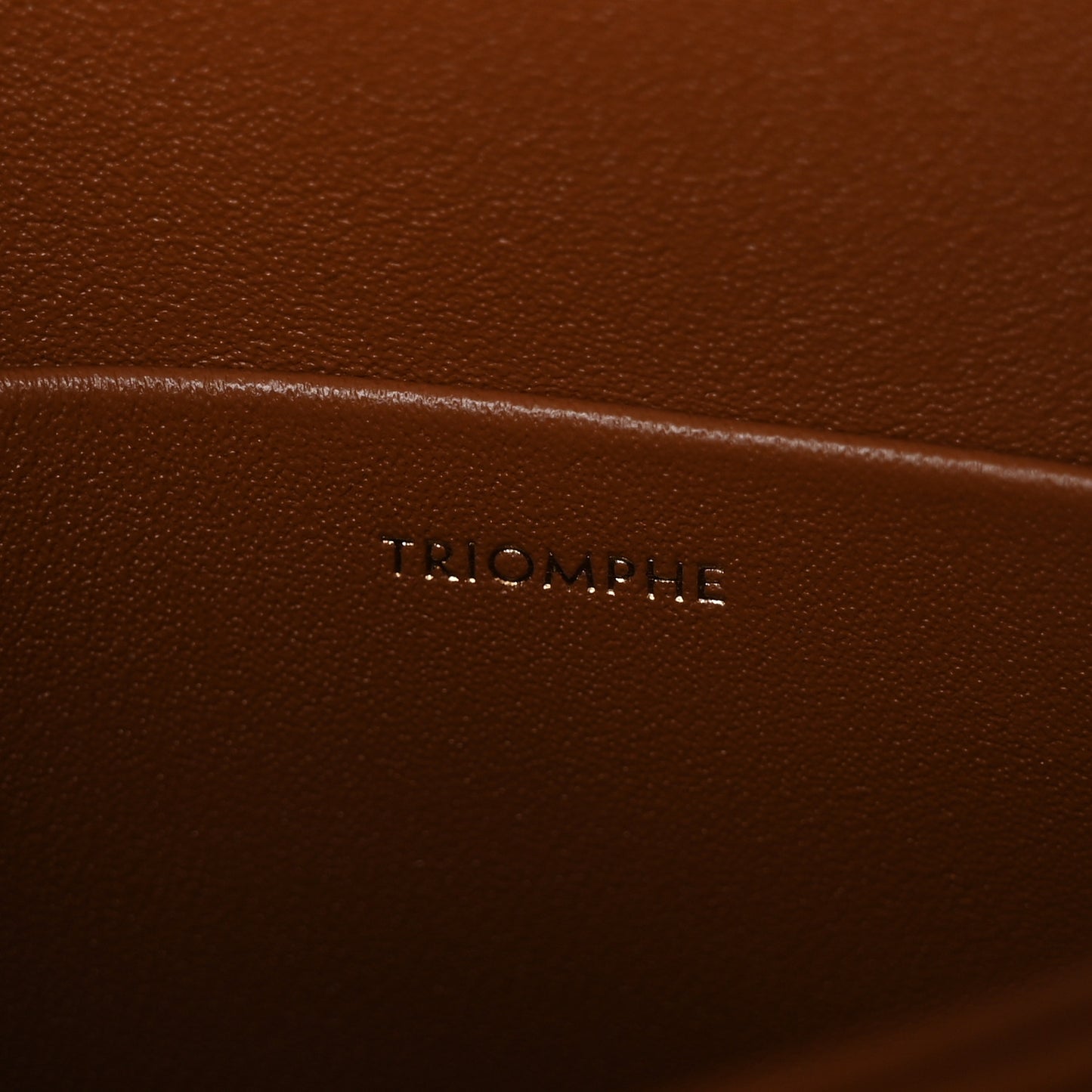 Calfskin Triomphe Canvas Teen Triomphe Bag Tan