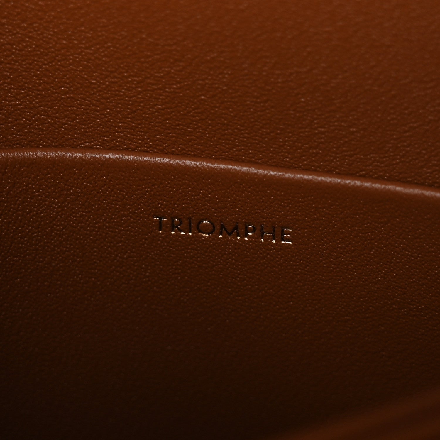 Celine Calfskin Triomphe Canvas Teen Triomphe Bag Tan 7 of 10