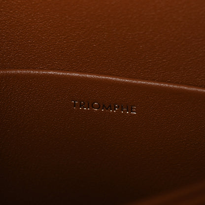 Celine Calfskin Triomphe Canvas Teen Triomphe Bag Tan 7 of 10