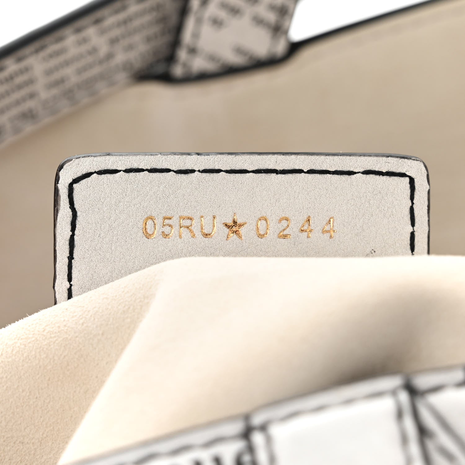 Christian Dior Calfskin Newspaper Printed Saddle Bag With Strap