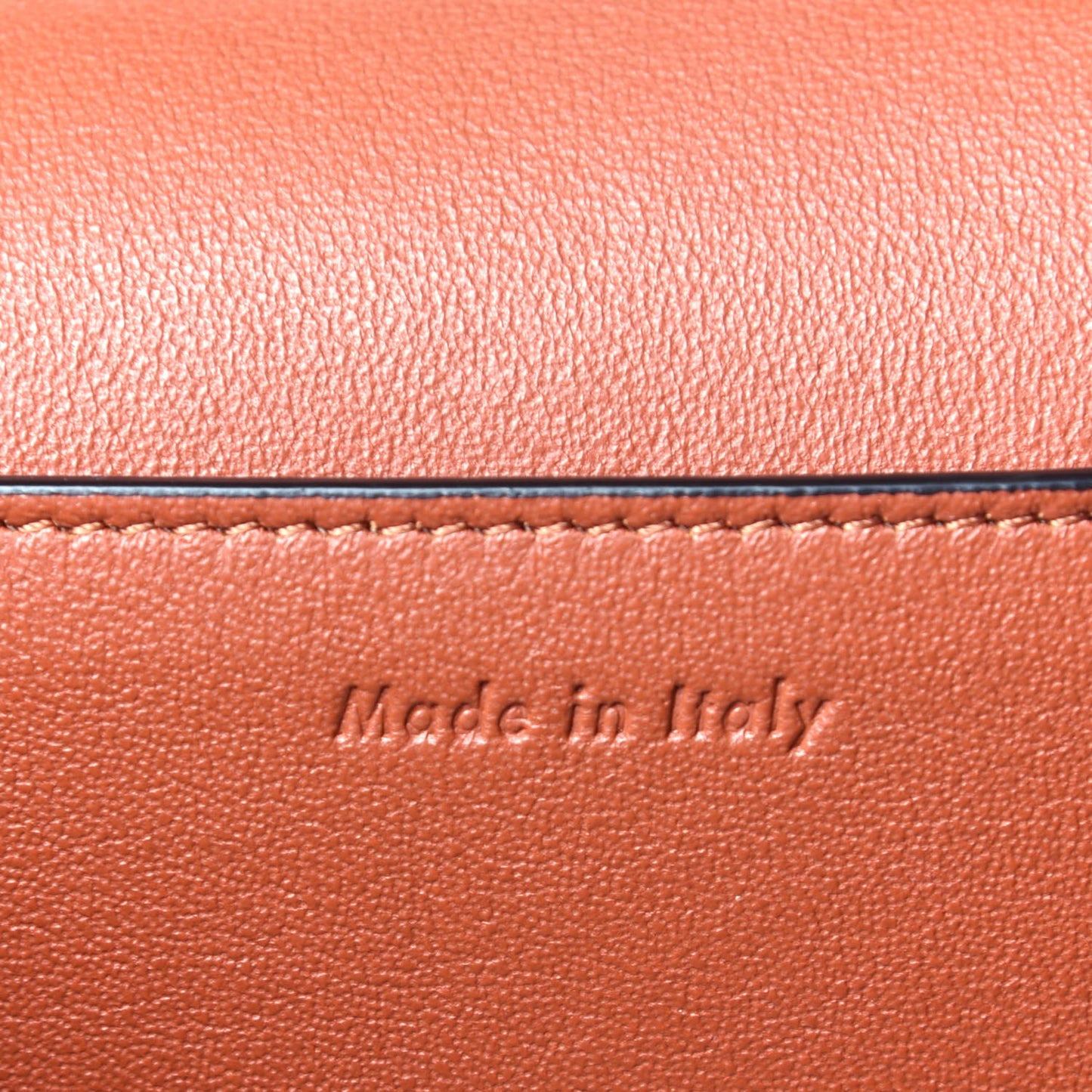 Shiny Smooth Calfskin Medium Frame Shoulder Bag Maple Frost