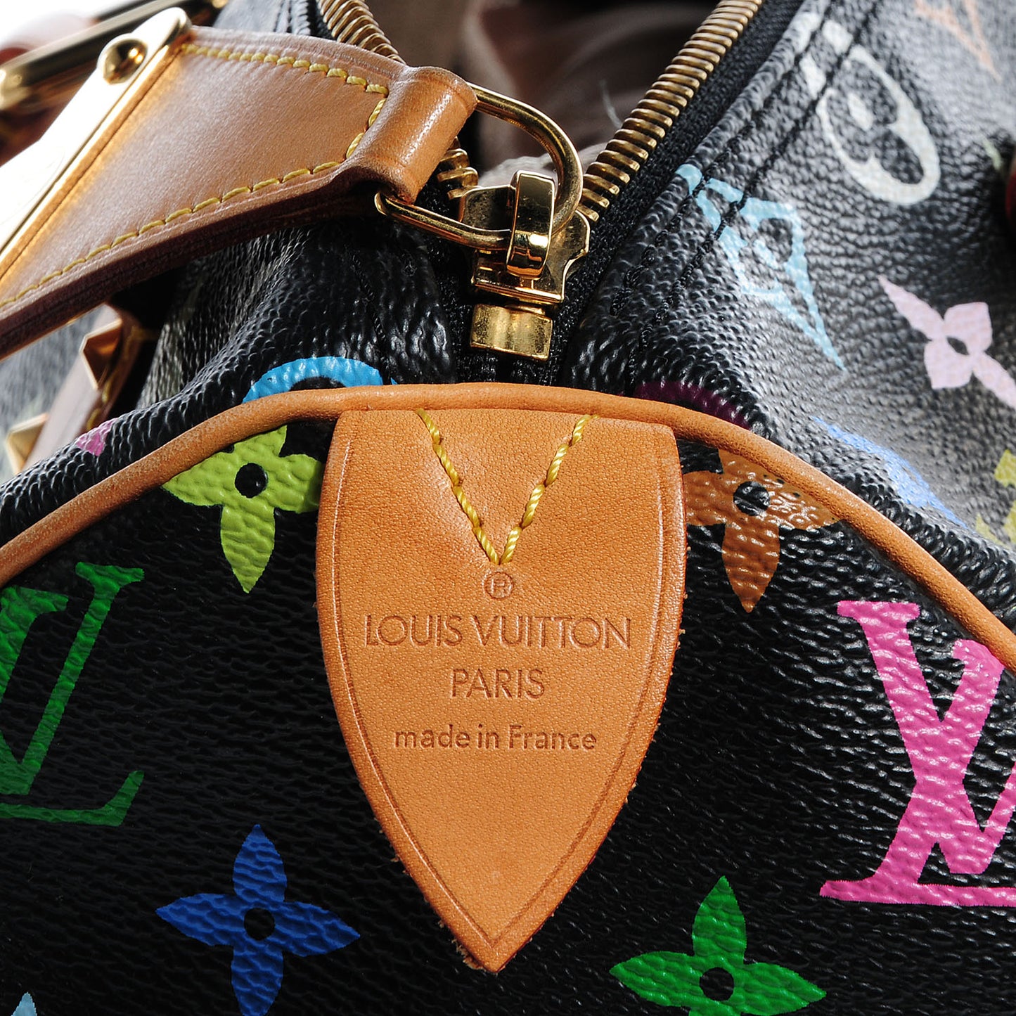 Monogram Multicolor Speedy 30 Black