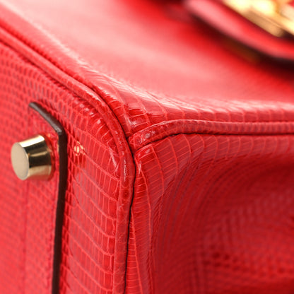 Hermes Lizard Birkin 25 Rouge Moyen 10 of 16