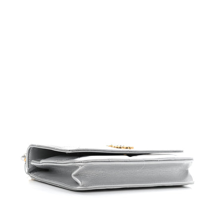 Chanel Metallic Lambskin Quilted Chanel 19 Wallet On Chain WOC Silver 4 of 12