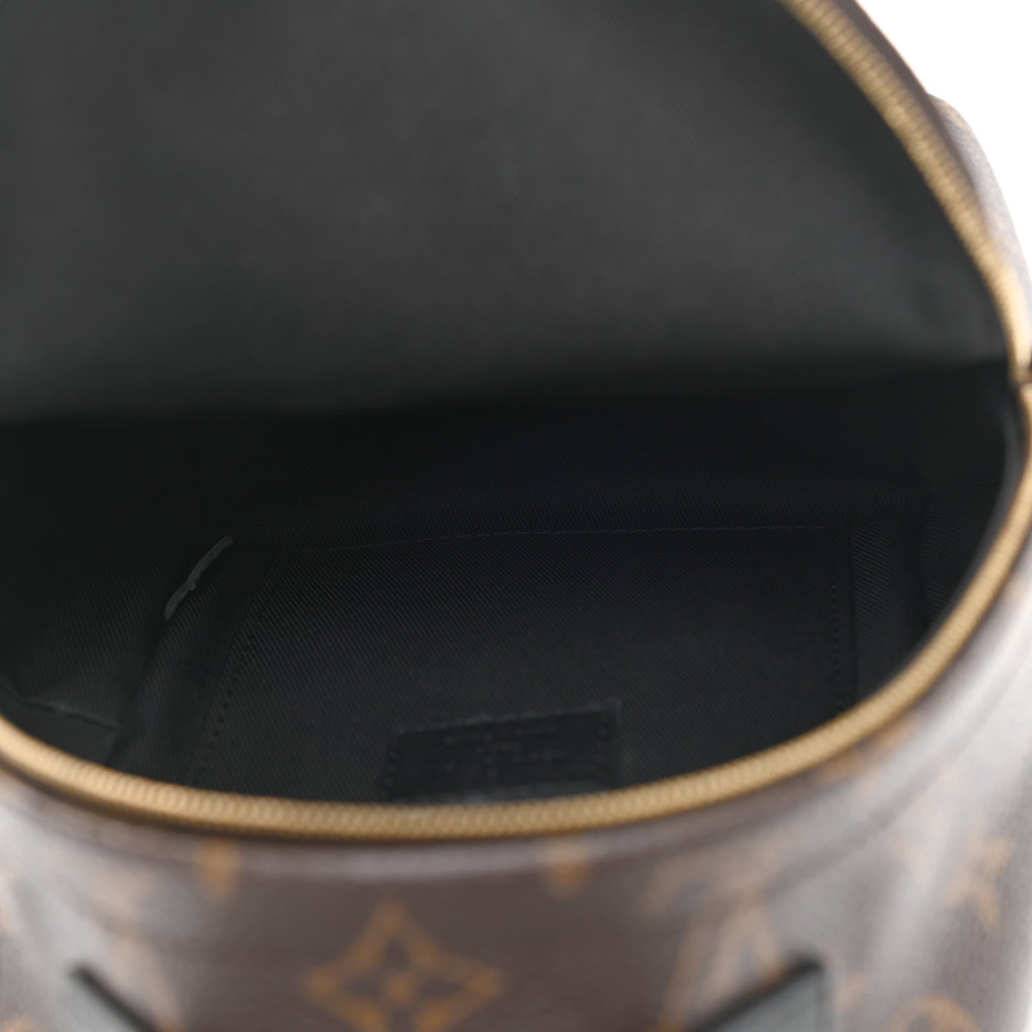 Louis Vuitton Monogram Palm Springs Backpack Mini 5 of 9