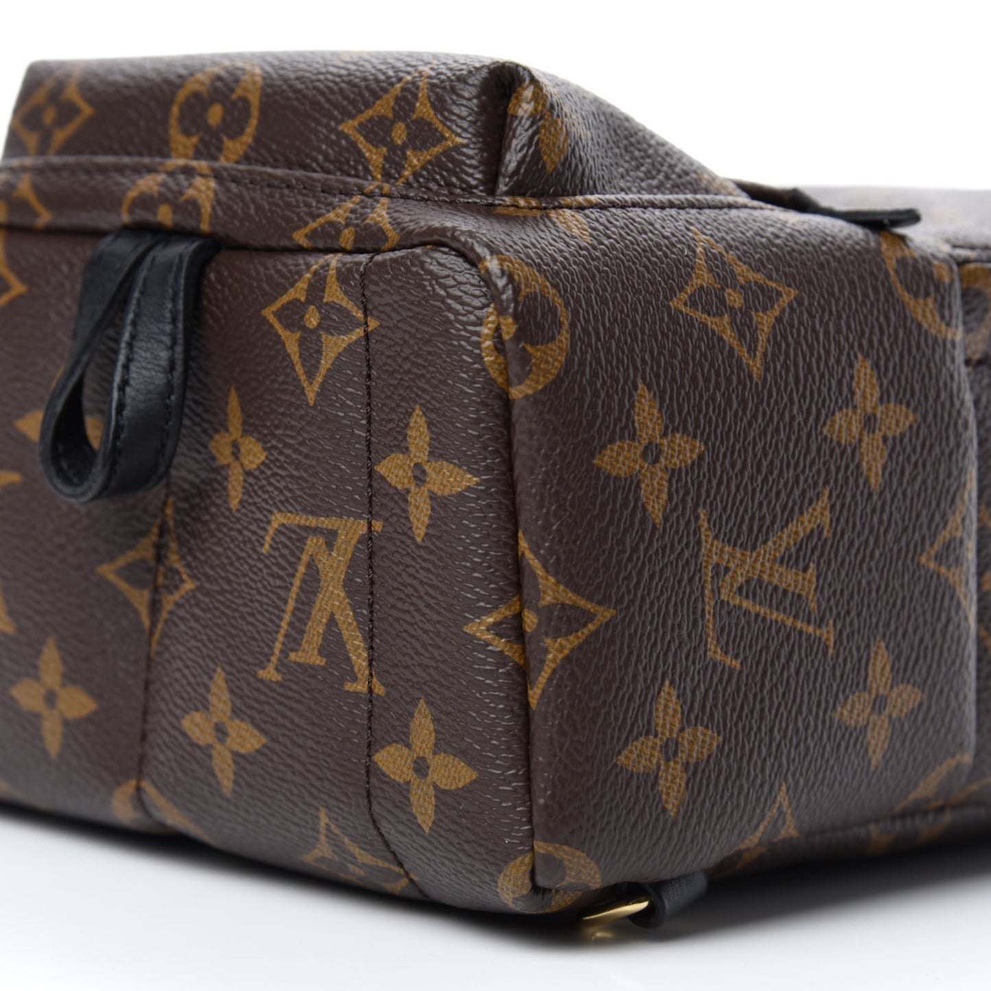 Monogram Palm Springs Backpack Mini