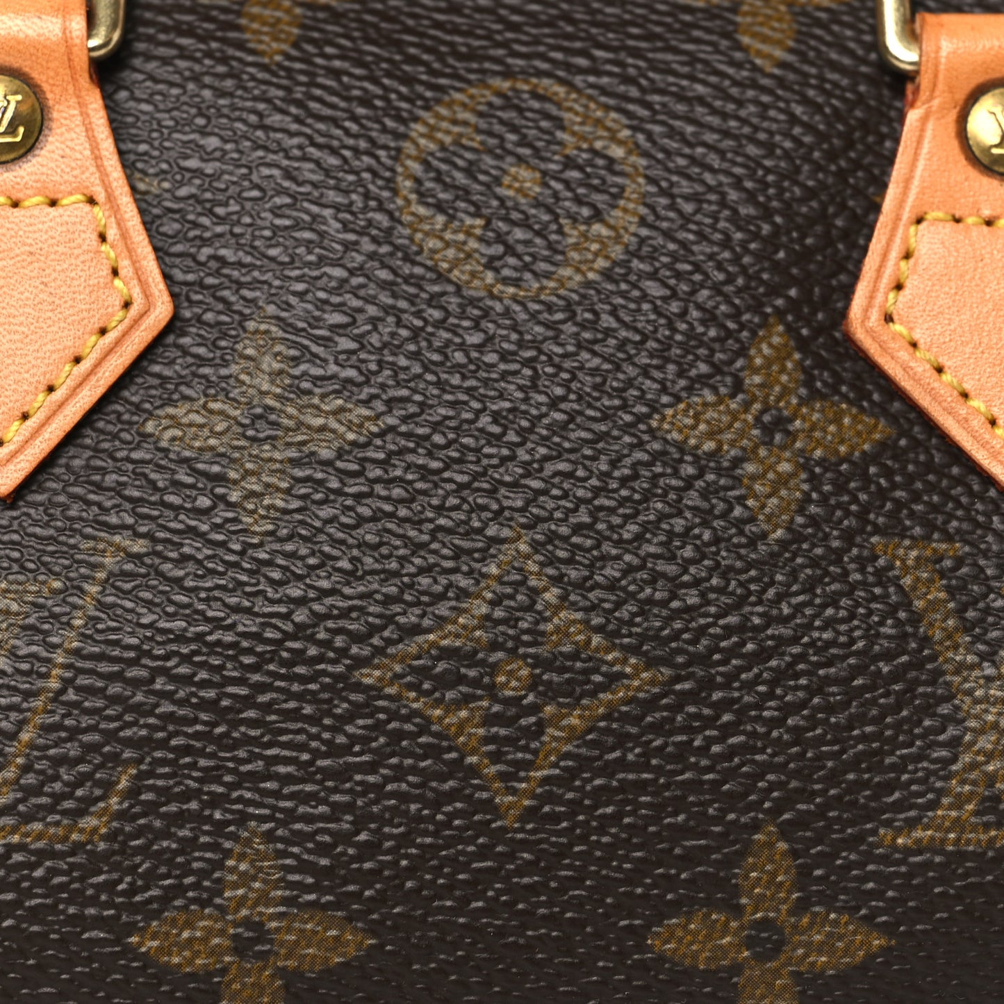 Monogram Mini Sac HL Speedy