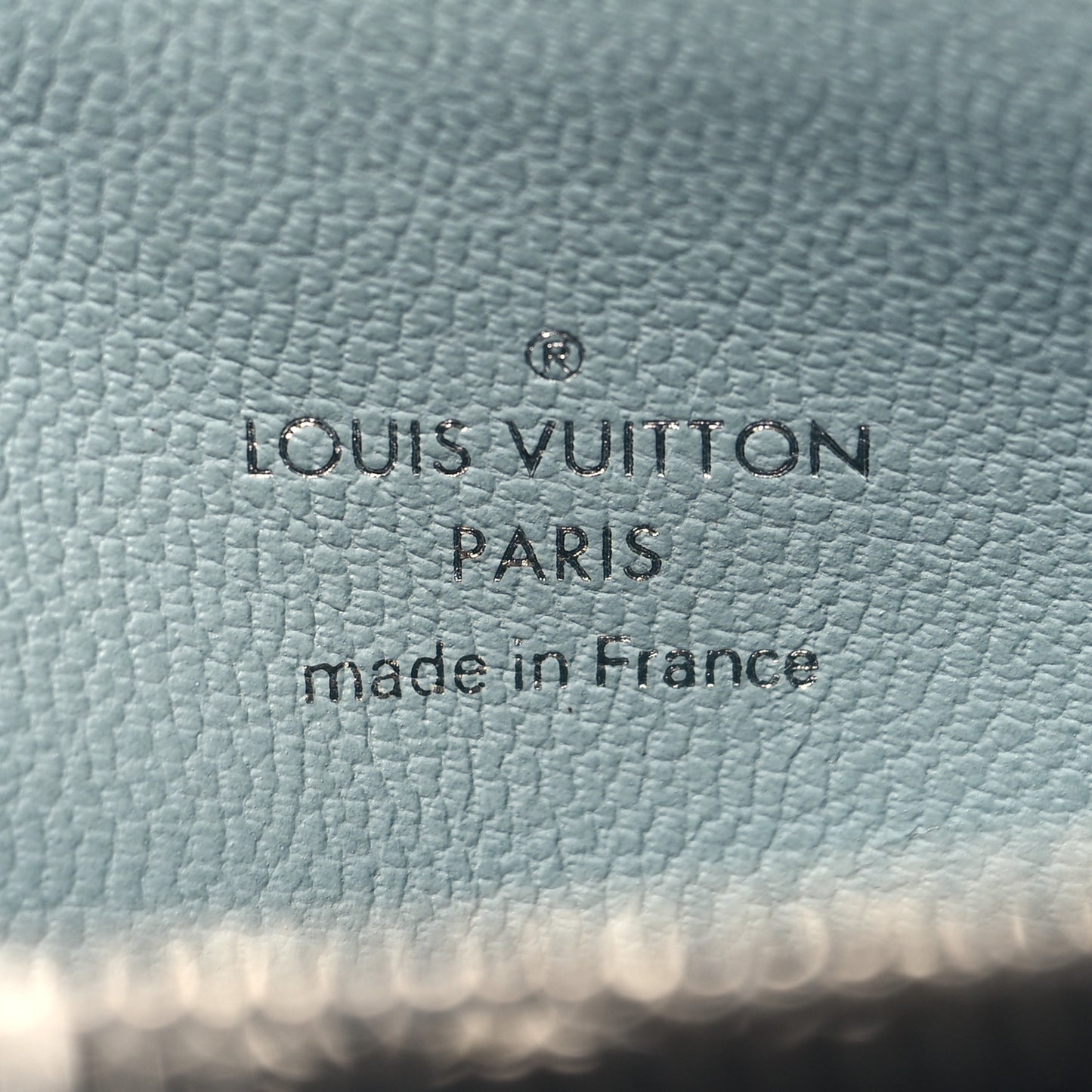 Lambskin Embossed Monogram LV Ski Coussin PM Black Multicolor