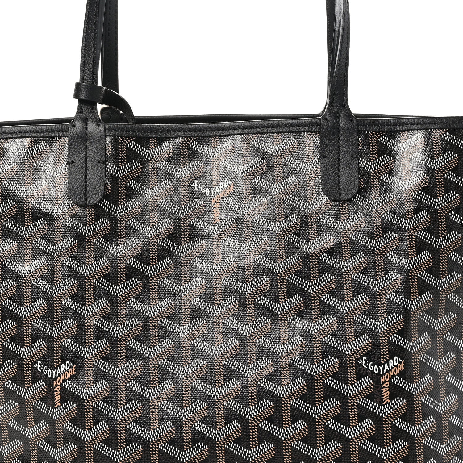 Goyard Goyardine Saint Louis PM Black 9 of 11