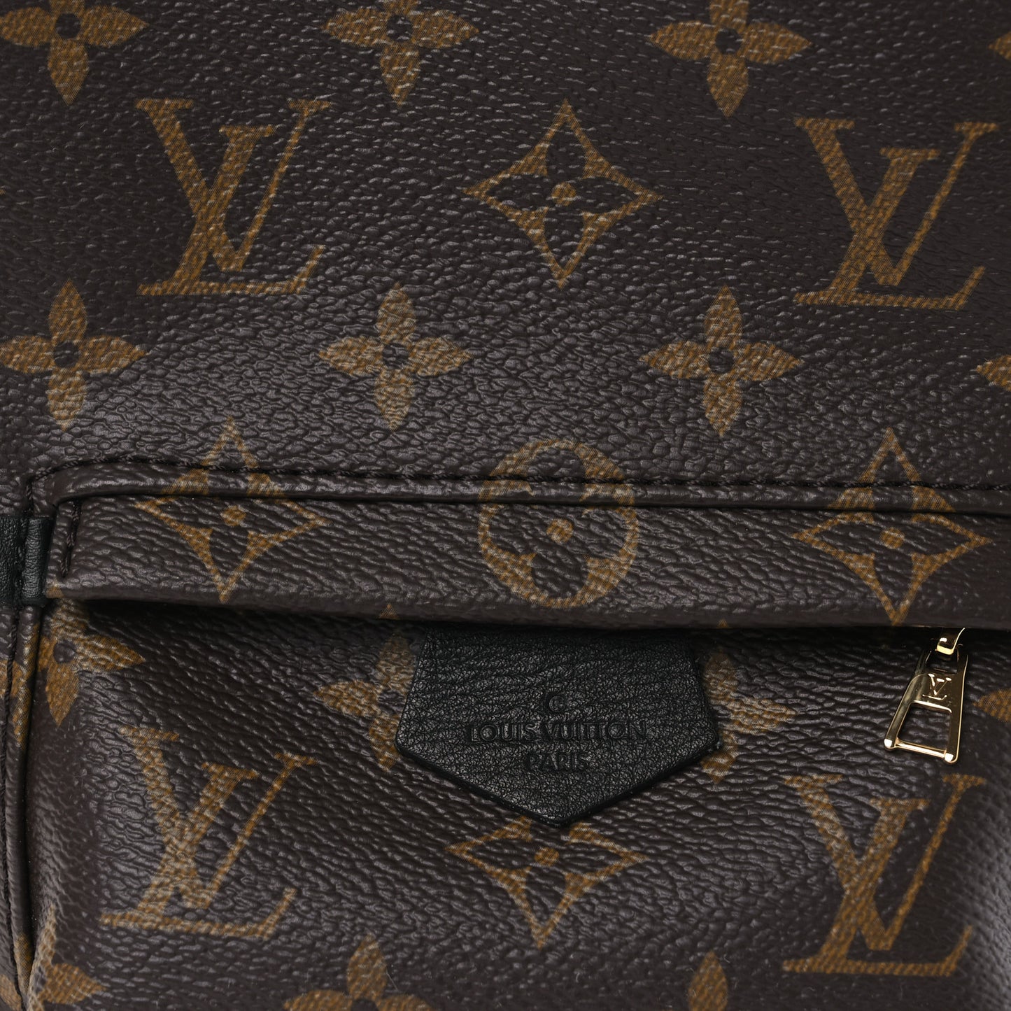 Monogram Palm Springs Backpack Mini