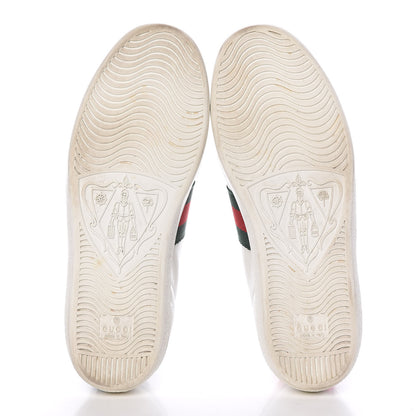 Gucci Calfskin Ayers Bee Embroidered Womens Ace Sneakers 37 White Green 6 of 23