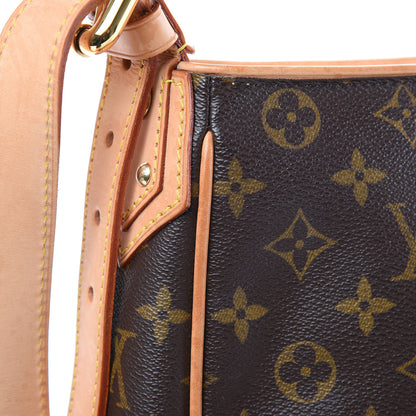 Louis Vuitton Monogram Hudson GM 11 of 16