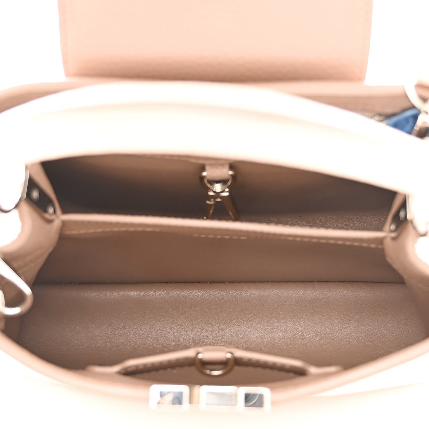 Taurillon Capucines BB Petale