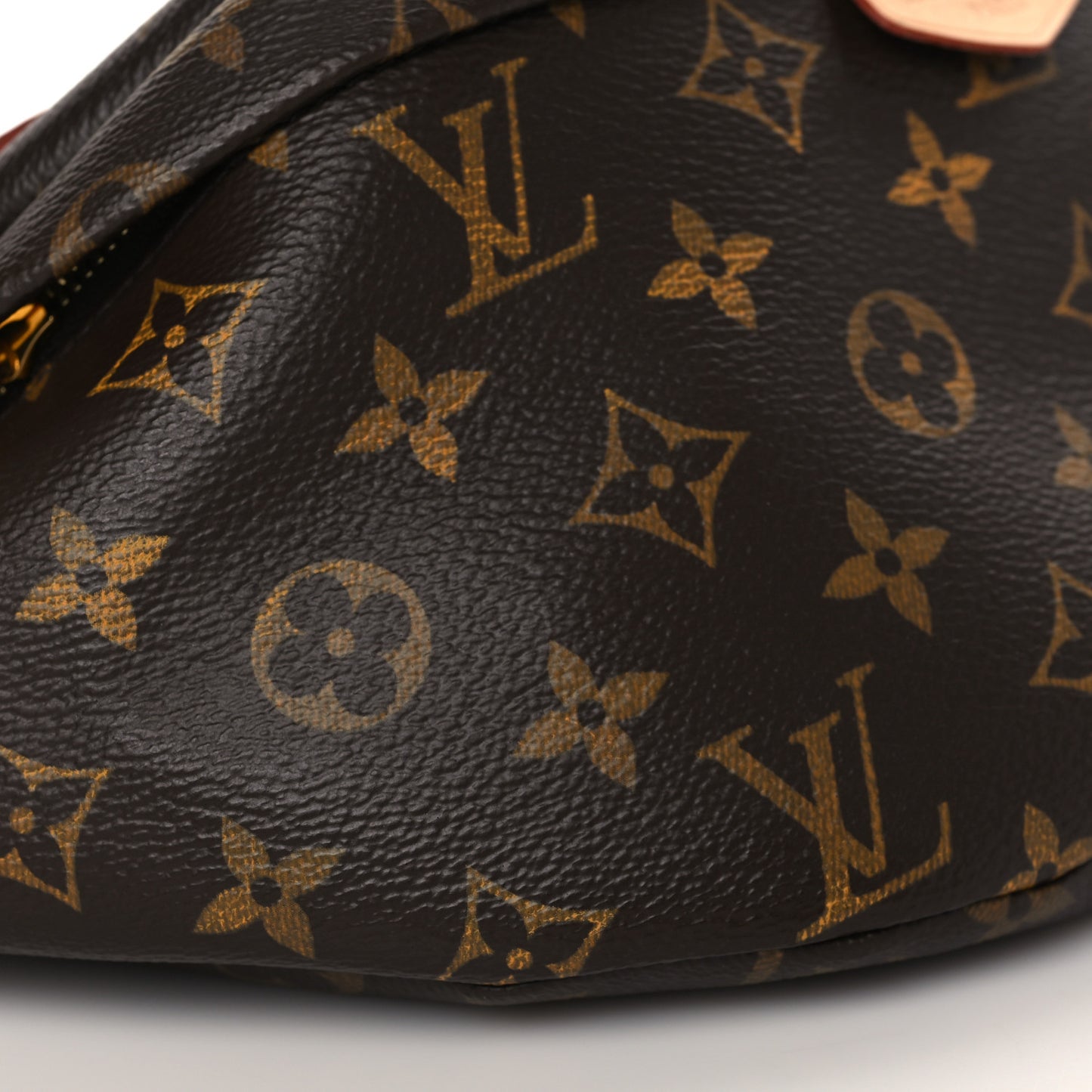Monogram Bumbag
