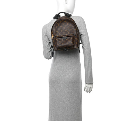 Louis Vuitton Monogram Palm Springs Backpack PM 2 of 9
