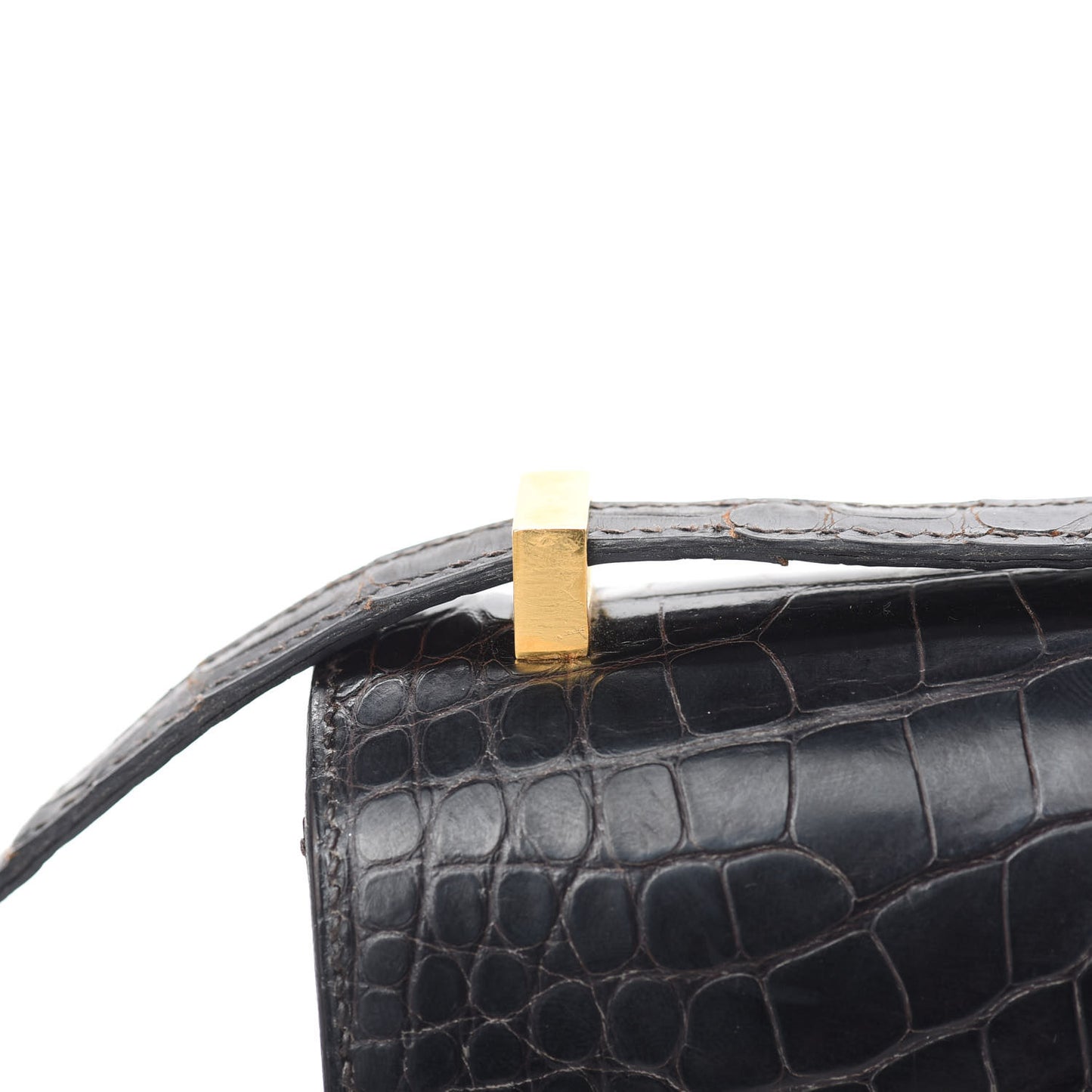 Shiny Alligator Micro Constance 14 Ebene