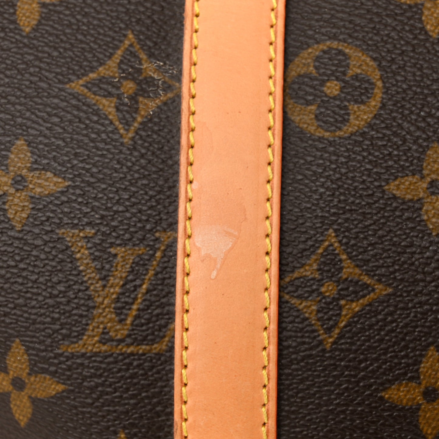 Monogram Sofia Coppola Speedy