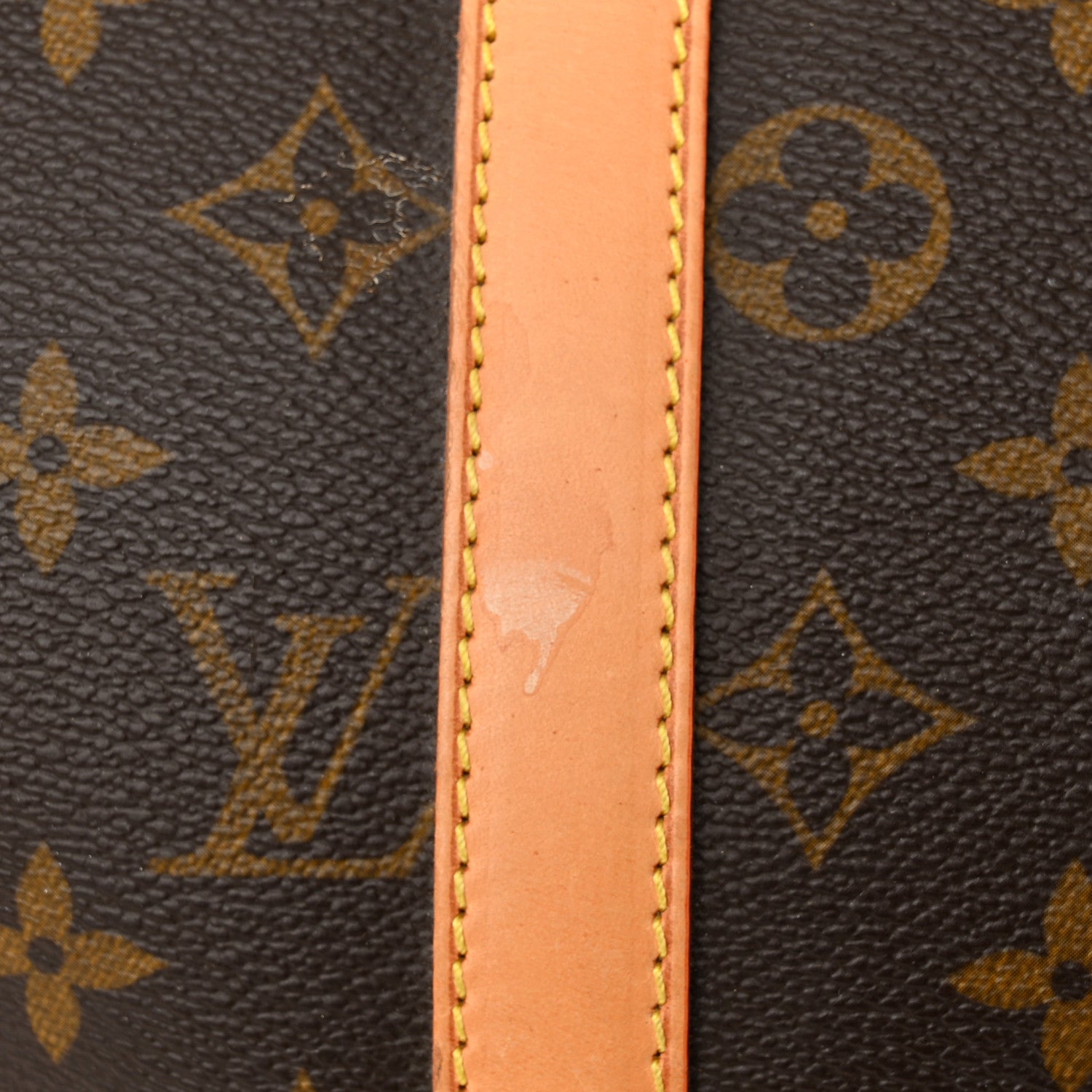 Louis Vuitton Monogram Sofia Coppola Speedy 11 of 12