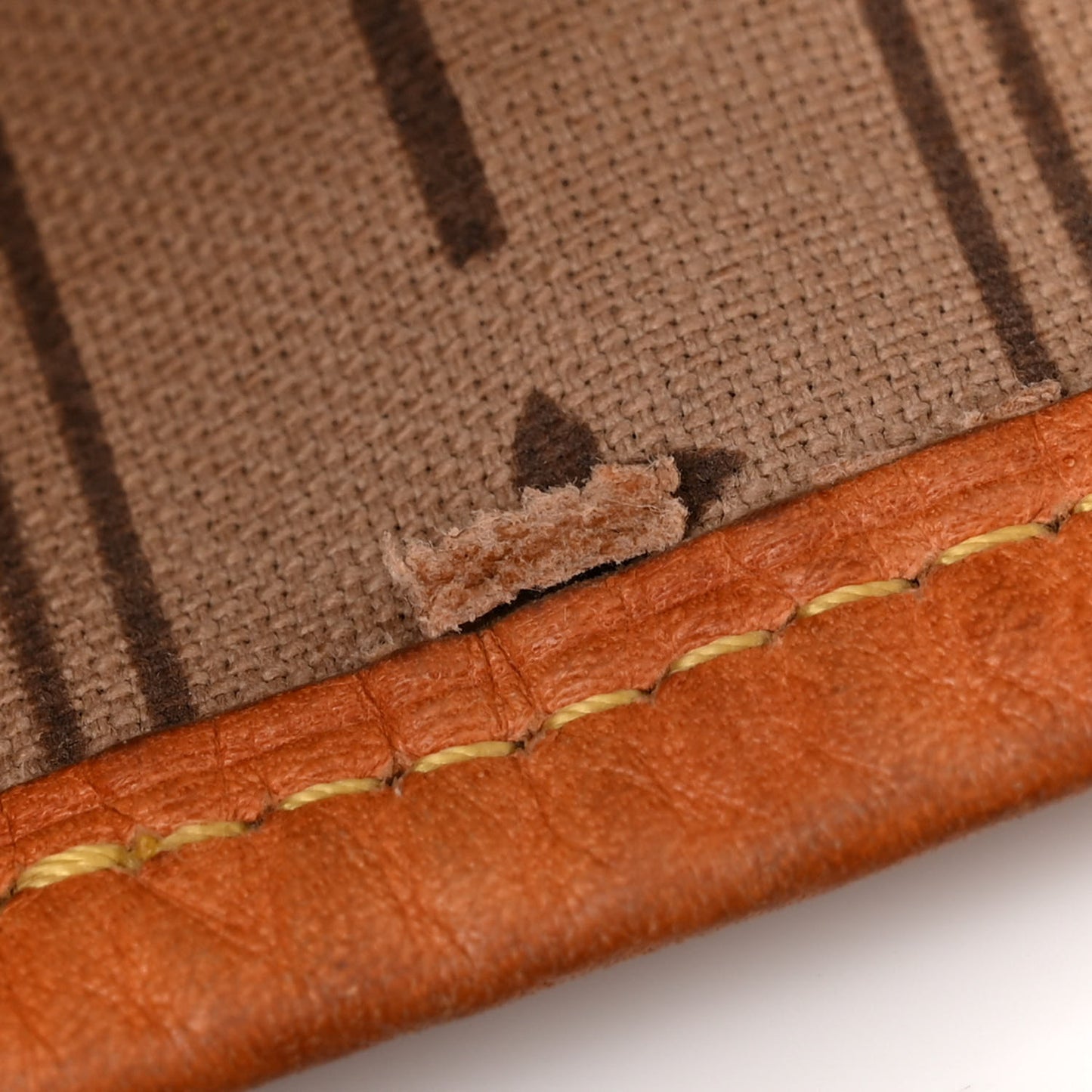 LOUIS VUITTON Monogram Delightful GM
