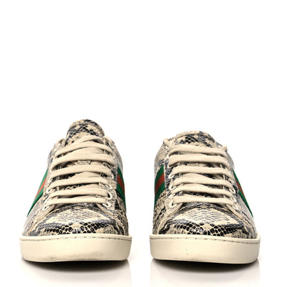 Gucci Calfskin Web Python Print Womens Ace Sneakers 37 Beige Avana New Shamarock 2 of 10