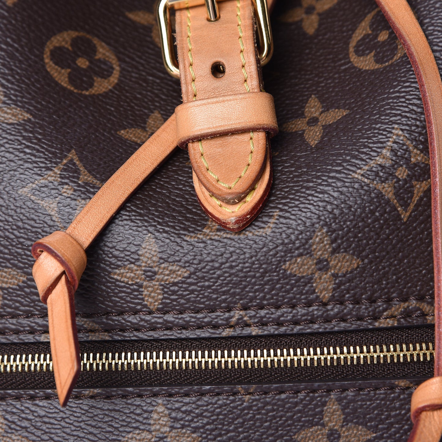 Monogram Montsouris NM Backpack