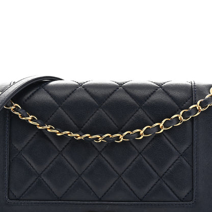 Chanel Sheepskin Quilted Vintage Mademoiselle Flap Navy 8 of 14