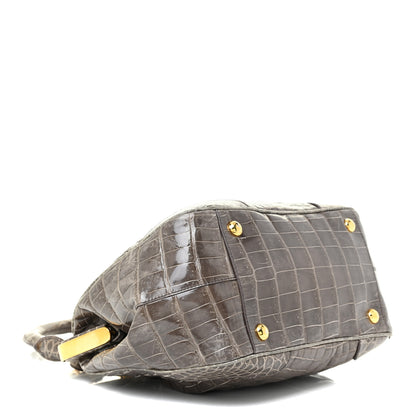 Prada Crocodile Frame Shoulder Bag Grigio 4 of 13