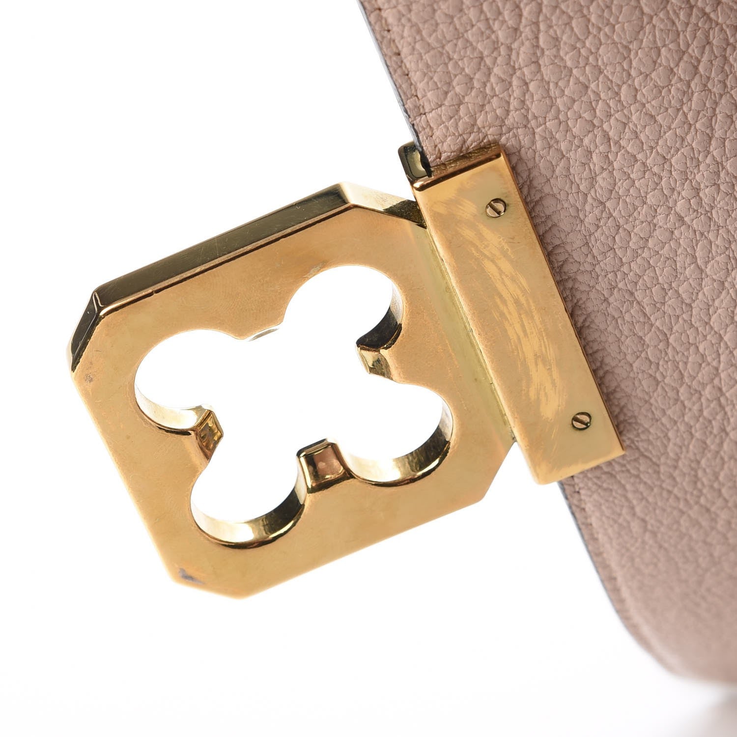 Chloe Goatskin Medium Elsie Shoulder Bag Biscotti Beige 16 of 16