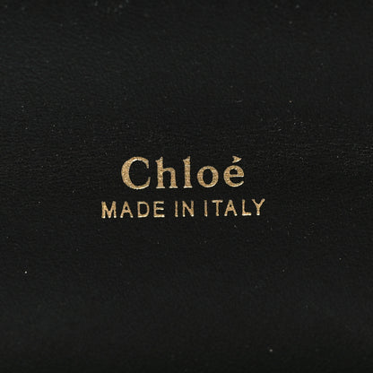 Chloe Shiny Goatskin Calfskin Aby Chain Shoulder Bag Black 6 of 9